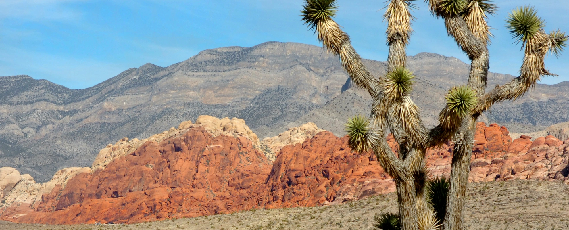 Heiraten in der Natur Red Rock Canyon Limo